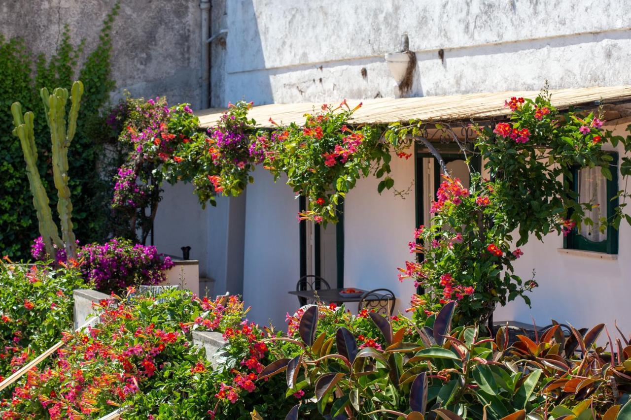 Il Pettirosso In Positano Villa Exterior photo
